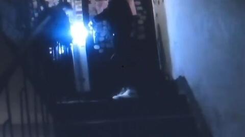 恩克直播爆料最新消息,最新消息大揭秘！